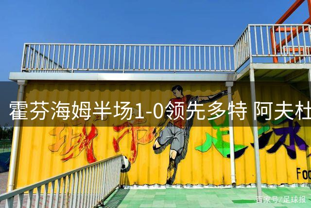 霍芬海姆半场1-0领先多特 阿夫杜拉于远射破门